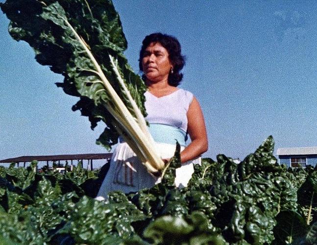 Verduras gigantes